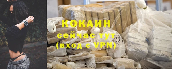 ГАЛЛЮЦИНОГЕННЫЕ ГРИБЫ Аркадак