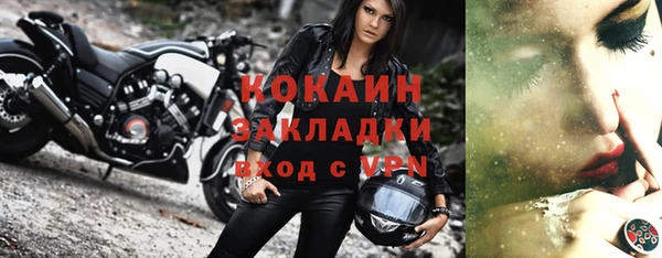 ГАЛЛЮЦИНОГЕННЫЕ ГРИБЫ Аркадак