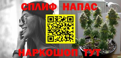 крисы Ярославль