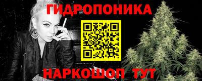крисы Ярославль