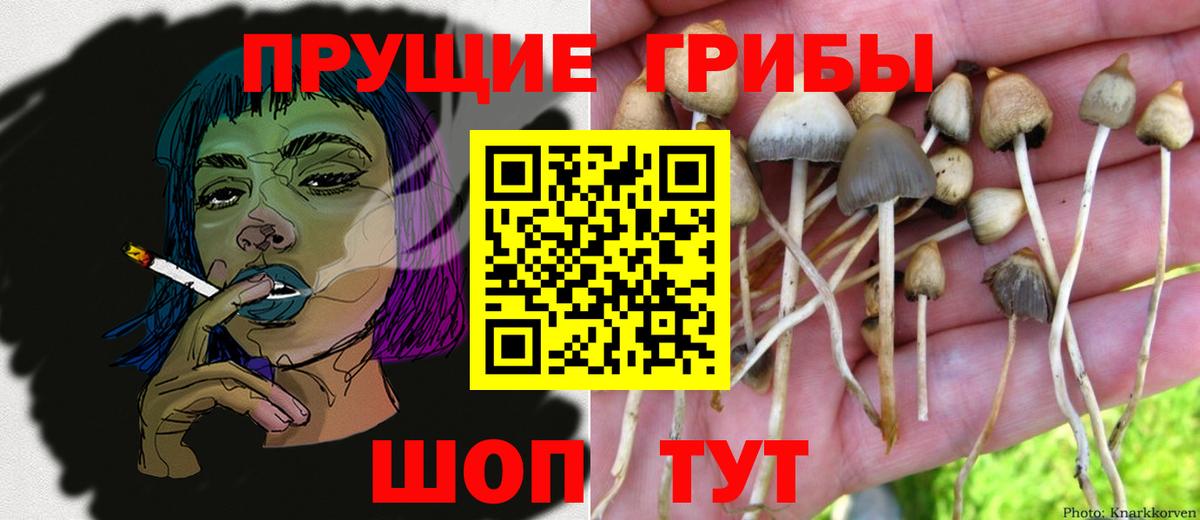 Псилоцибиновые грибы Magic Shrooms Ступино