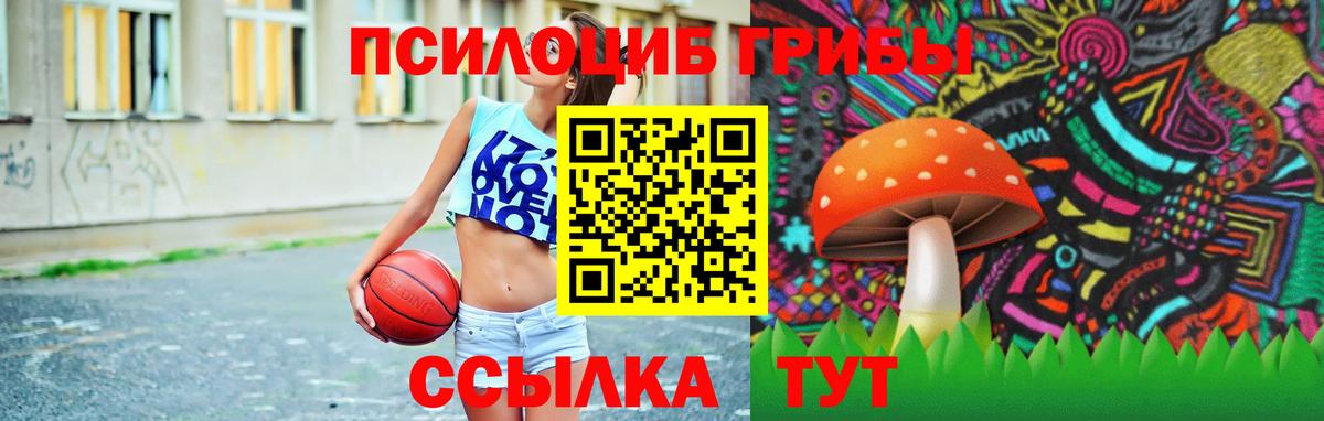закладка  Псилоцибиновые грибы Psilocybe  Вход с VPN  Галлюциногенные грибы Cubensis  Ступино 